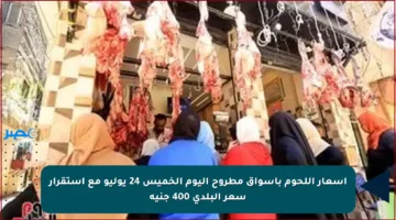 أسعار اللحوم بأسواق مطروح اليوم الخميس 24 يوليو مع استقرار سعر البلدي 400 جنيه